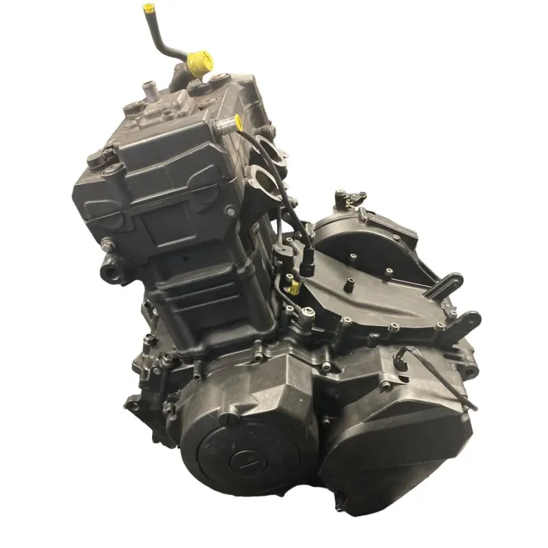 Moteur YAMAHA TDM 900 2002-2005