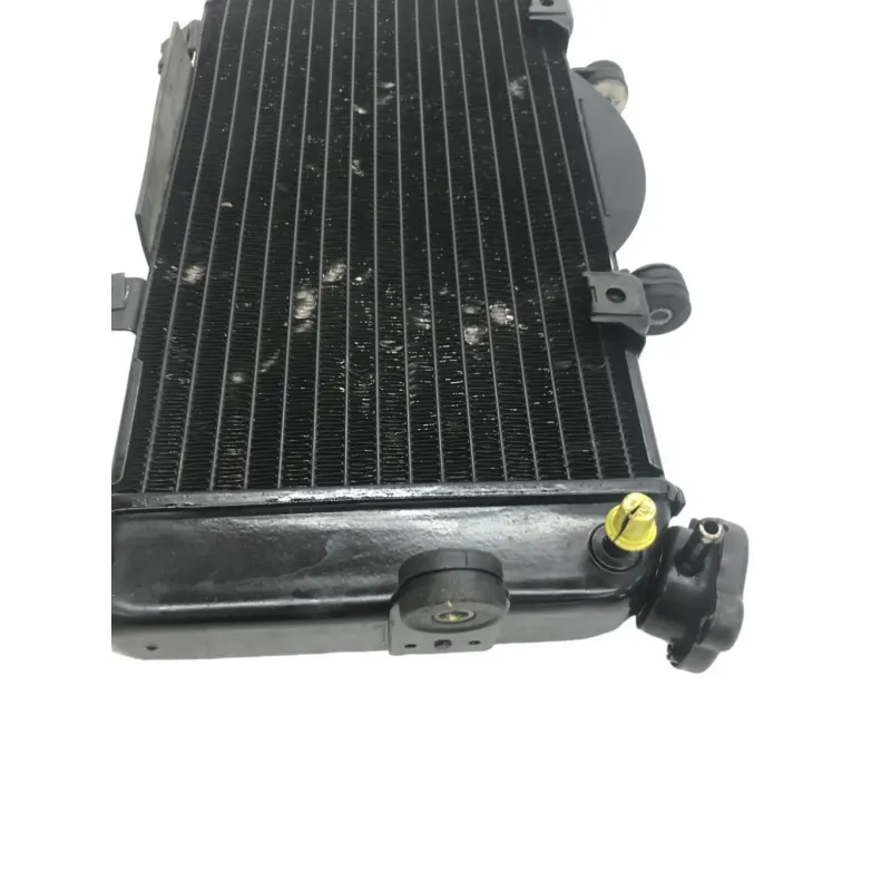 Radiateur eau YAMAHA TDM 900 2002-2005