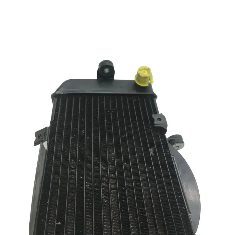 Radiateur eau YAMAHA TDM 900 2002-2005
