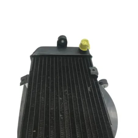 Radiateur eau YAMAHA TDM 900 2002-2005