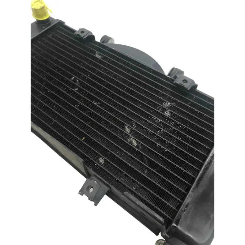 Radiateur eau YAMAHA TDM 900 2002-2005
