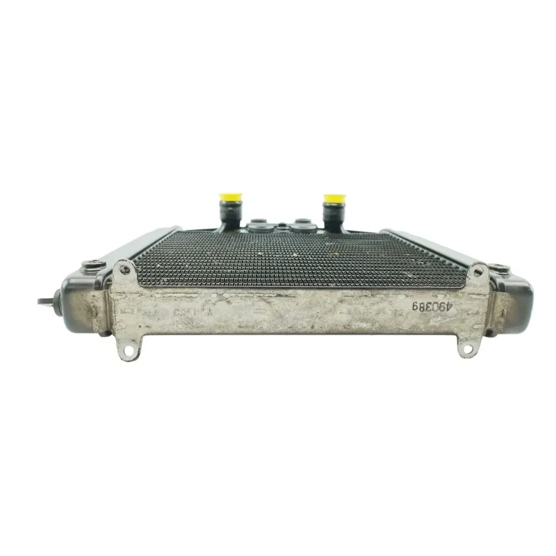 Radiateur eau HARLEY DAVIDSON VRSCA 1250 V ROAD ABS 2008 - 2010