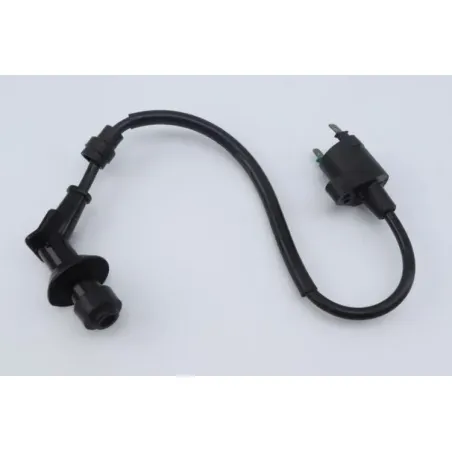 Bobine allumage PEUGEOT KISBEE 50 2010 - 2020