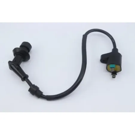 Bobine allumage PEUGEOT KISBEE 50 2010 - 2020