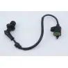 Bobine allumage PEUGEOT KISBEE 50 2010 - 2020