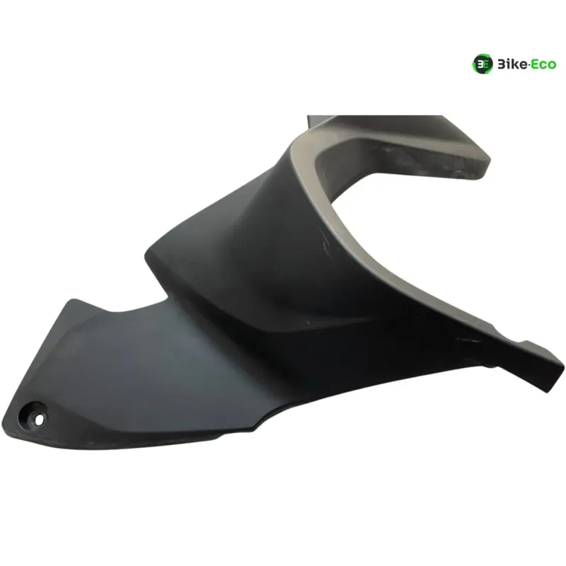 Cache flanc de carenage gauche BMW R 1250 RT 2019-2024