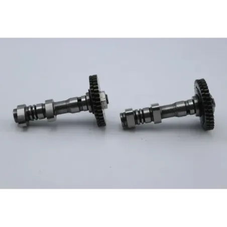 Arbres à cames APRILIA SL SHIVER 750 2007 - 2009