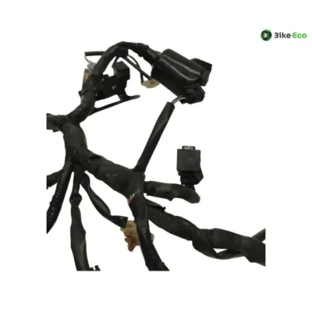 Faisceau electrique KAWASAKI Z 650 2017-2019