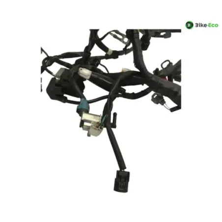 Faisceau electrique KAWASAKI Z 650 2017-2019