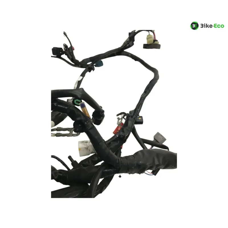 Faisceau electrique KAWASAKI Z 650 2017-2019