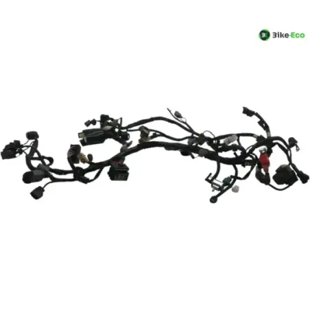 Faisceau electrique KAWASAKI Z 650 2017-2019