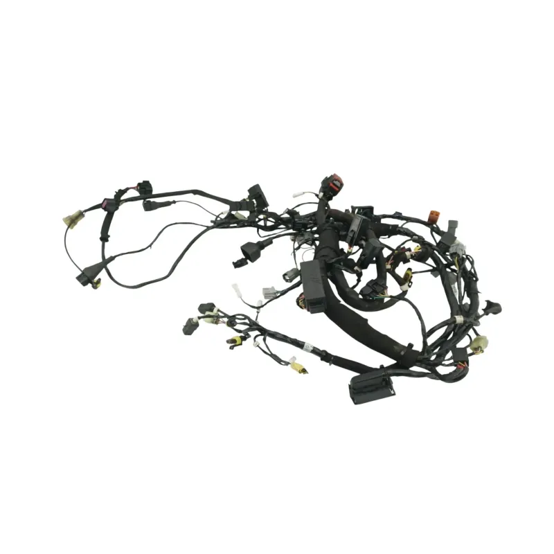Faisceau electrique MV AGUSTA F3 800 RC ABS 2013 - 2020
