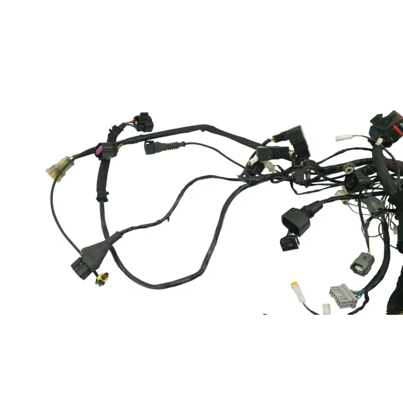 Faisceau electrique MV AGUSTA F3 800 RC ABS 2013 - 2020