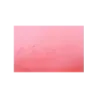 Coque arriere QUADRO 4D 350 2015 - 2018