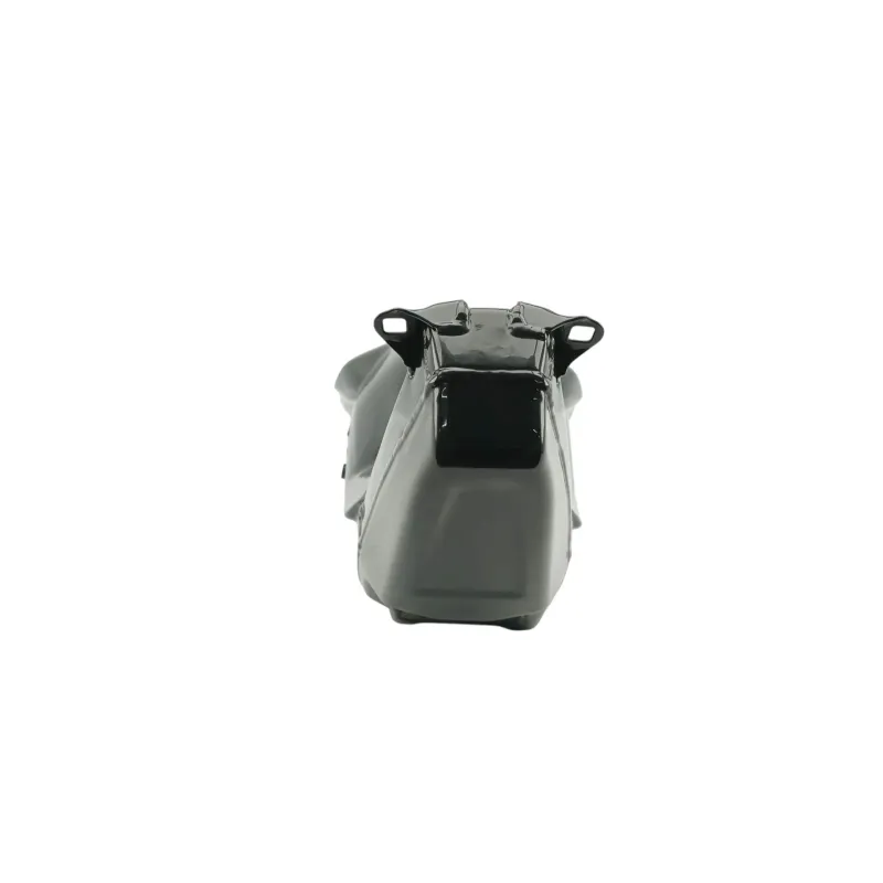 Reservoir DUCATI PANIGALE 1100 V4 2020 - 2021