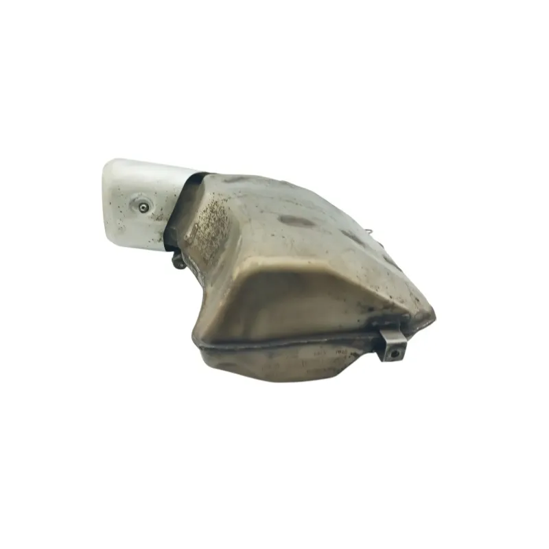 Silencieux (echappement) DUCATI MONSTER 1200 2017 - 2020