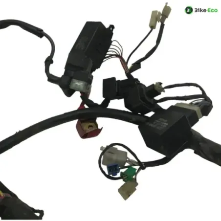Faisceau electrique YAMAHA FZS 600 1998-2001 FAZER