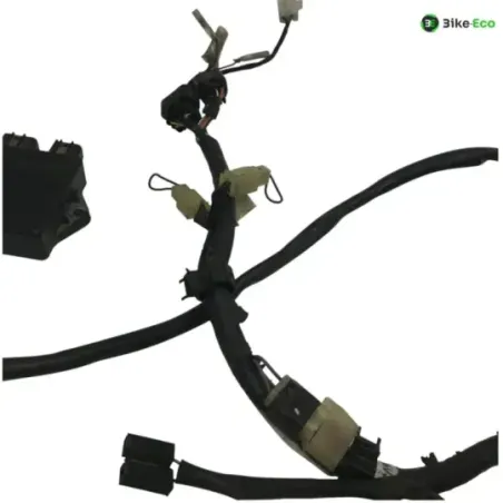 Faisceau electrique YAMAHA FZS 600 1998-2001 FAZER