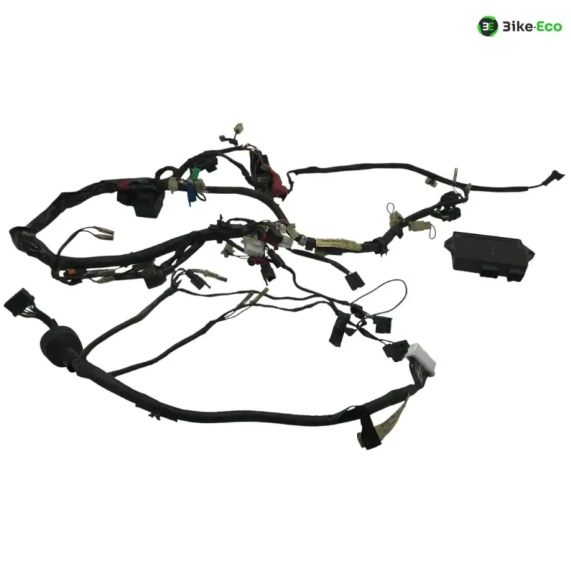Faisceau electrique YAMAHA FZS 600 1998-2001 FAZER