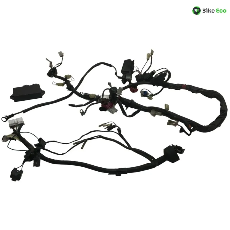 Faisceau electrique YAMAHA FZS 600 1998-2001 FAZER