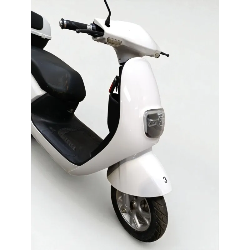 SAKURA 50