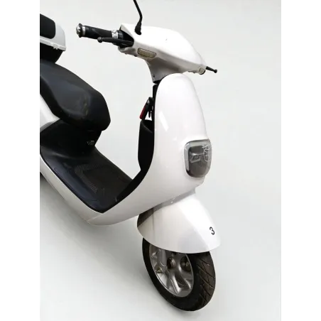 SAKURA 50