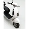 SAKURA 50