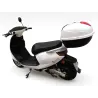SAKURA 50