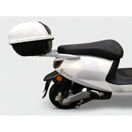SAKURA 50