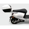 SAKURA 50