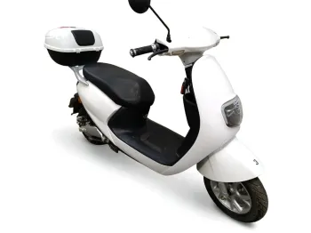 SAKURA 50