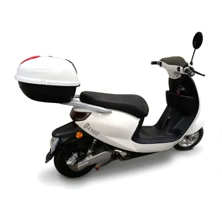 SAKURA 50