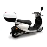 SAKURA 50