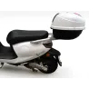 SAKURA 50