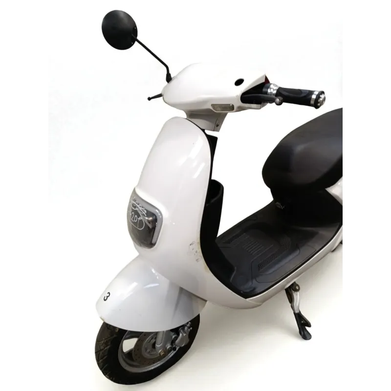 SAKURA 50
