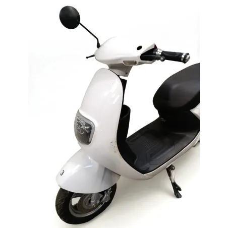 SAKURA 50