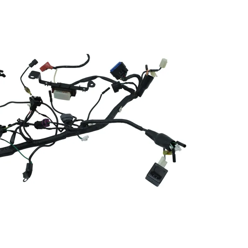 Faisceau electrique SWM SILVER VASE 440 2016 - 2018