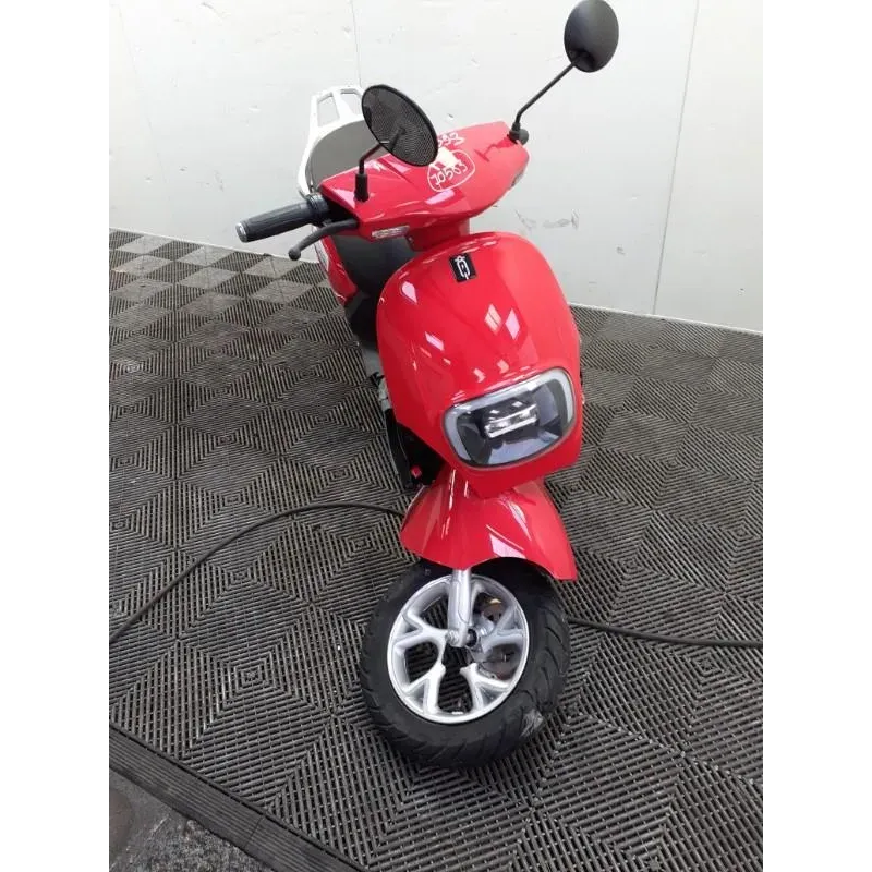 SAKURA EV1200-B ELECTRIQUE BIN GO