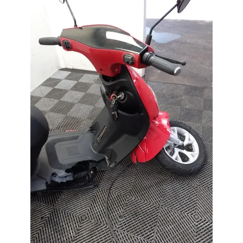 SAKURA EV1200-B ELECTRIQUE BIN GO