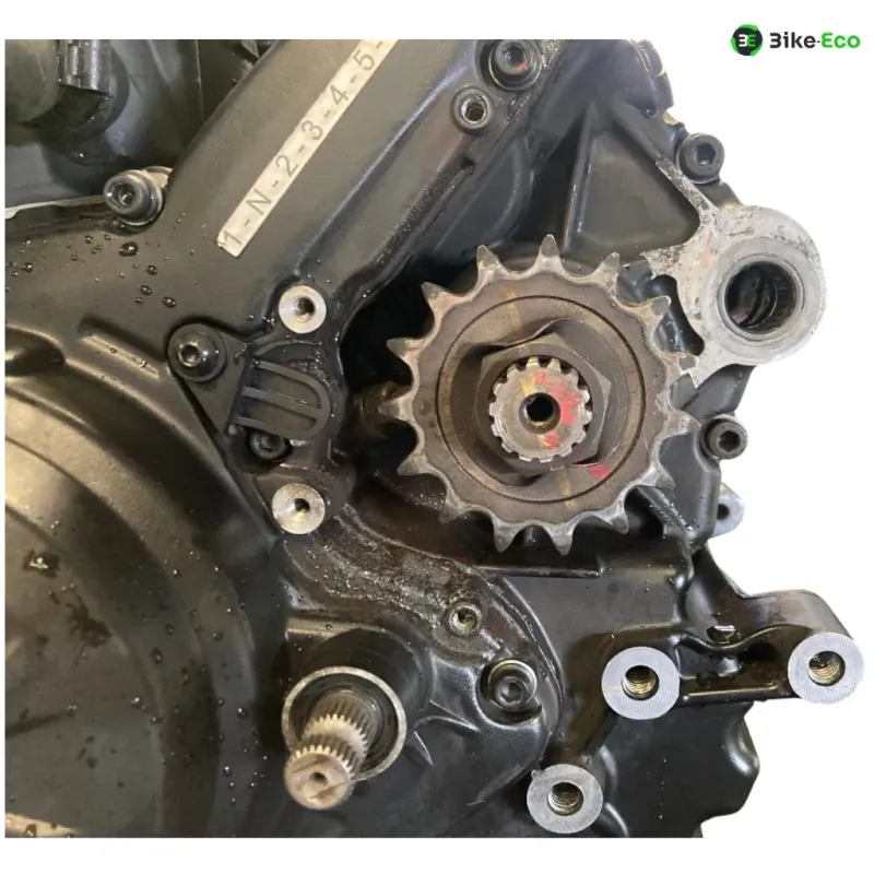 Moteur DUCATI MULTISTRADA 950 2017-2021