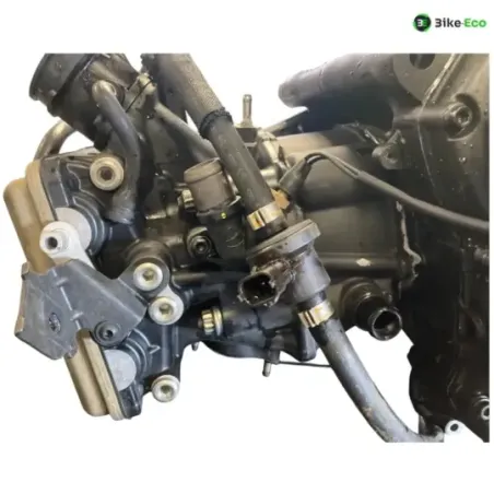 Moteur DUCATI MULTISTRADA 950 2017-2021