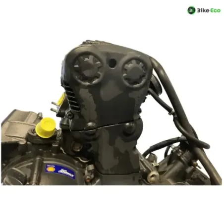 Moteur DUCATI MULTISTRADA 950 2017-2021