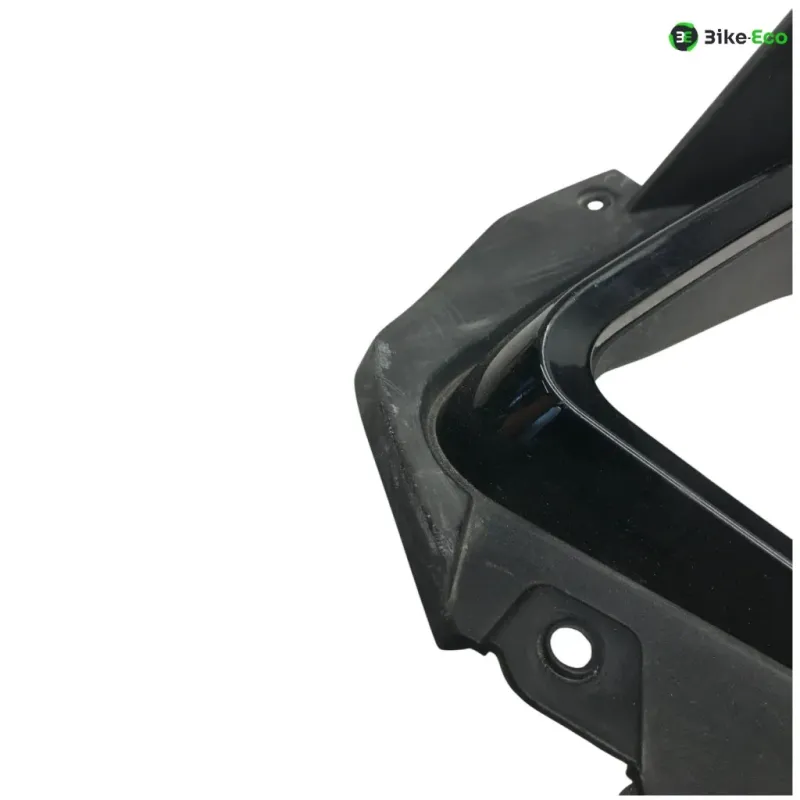 Entourage compteur HONDA NSS 125 2015-2016 FORZA
