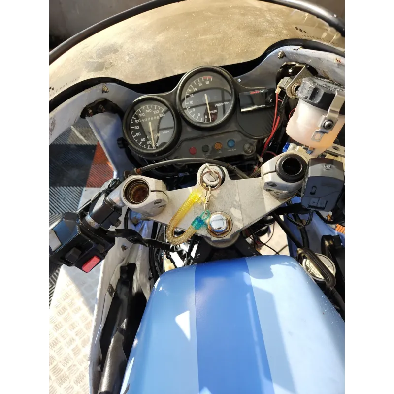 YAMAHA FZR 250