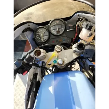YAMAHA FZR 250