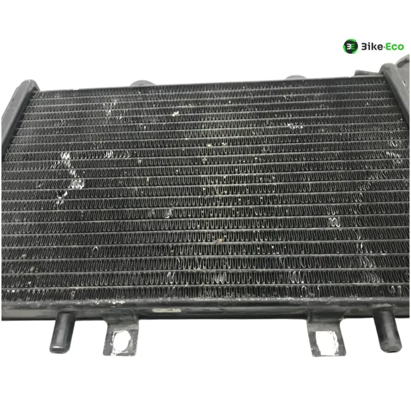 Radiateur eau TRIUMPH DAYTONA 900 1993-1996