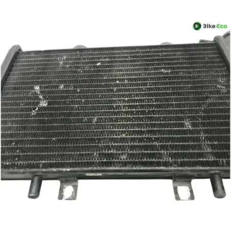 Radiateur eau TRIUMPH DAYTONA 900 1993-1996