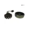 Rotor volant moteur PIAGGIO LIBERTY 50 2017-2019 IGET IE Rotor volant moteur PIAGGIO LIBERTY 50 2017-2019 IGET IE