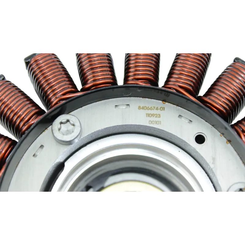 Stator alternateur BMW R 1250 RS 2019 - 2025