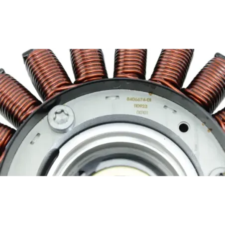 Stator alternateur BMW R 1250 RS 2019 - 2025